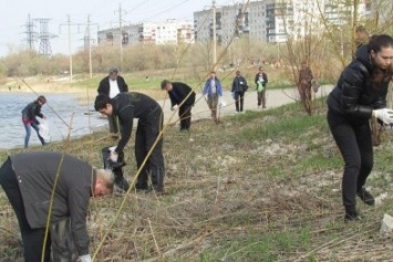 Чиновники ЛОВГА приняли участие в благоустройстве Северодонецка