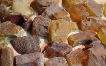 Организованную группу будут судить за добычу янтаря в Житомирской области