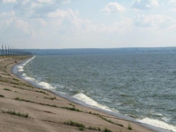 Во время весеннего зарыбления в Киевское водохранилище выпустят 10 тыс. мальков