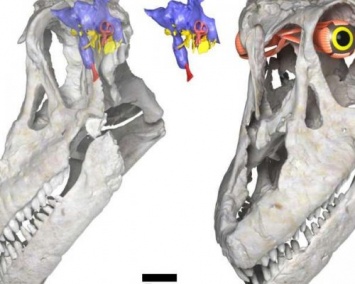 Ученые обнаружили останки аргентинского динозавра Sarmientosaurus