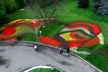 Выставку тюльпанов в Киеве сняли с высоты птичьего полета (ВИДЕО)