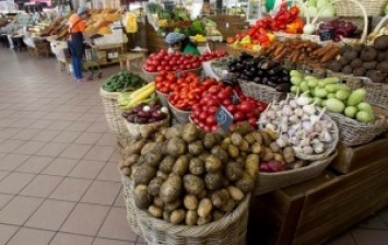 Украина на треть увеличила экспорт продуктов в ЕС