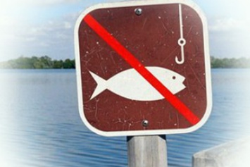 С 30 апреля в водоемах Херсона будет запрещен вылов рыбы