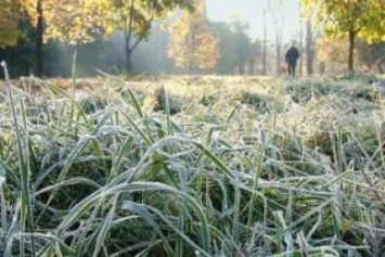 В Крыму на выходных ожидаются заморозки