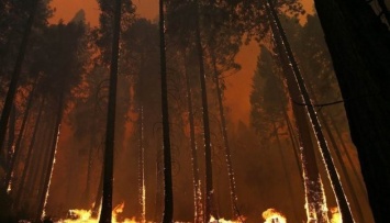 Канада эвакуирует 60 тыс. человек из-за лесного пожара