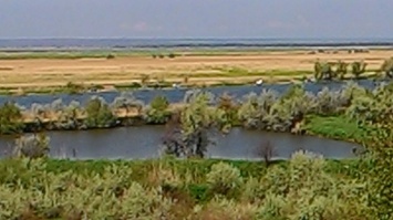 Одесские экологи бьют тревогу: дельта Днестра обезвожена