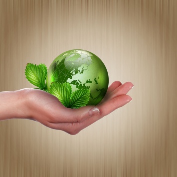 Ученые: Озеленение оказывает негативное влияние на Землю