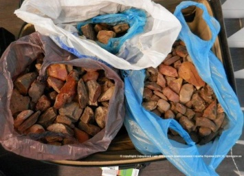 С начала года пограничники изъяли 410 кг янтаря, который пытались вывезти