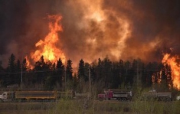 В Канаде площадь лесных пожаров увеличилась в десять раз