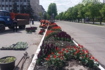 Кременчужанка пыталась обокрасть клумбу в центре города