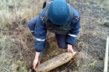 Фермер з Коростенского района выкопал у себя в огороде 4 снаряда