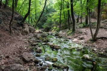 В Крыму ограничили передвижение туристов из-за клещей