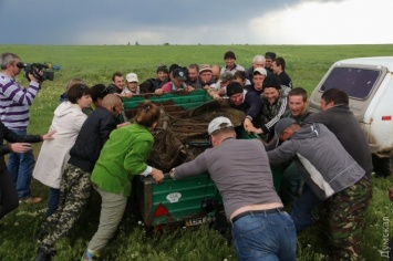 В природном парке Одесской области браконьеры затеяли драку с инспекторами, пытаясь отбить конфискованные сети