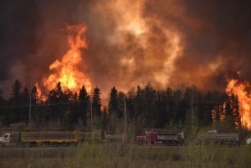 Сильный лесной пожар практически полностью уничтожил город в Канаде