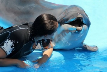 На рынке вакансий появилась «работа мечты» - тренер для дельфинов