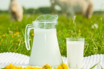 Школьники Новой Каховки будут пить молоко по 15 грн за литр