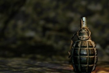 В лесу под Кременчугом патрульная полицейская нашла современную боевую гранату