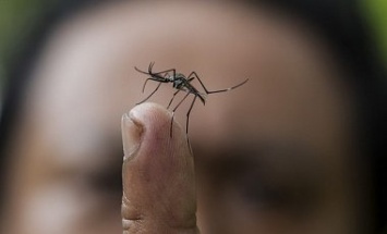 В Южной Корее - пятый случай заболевания лихорадкой Зика