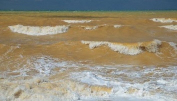 В Севастополе акватория и берег загрязнены мазутом