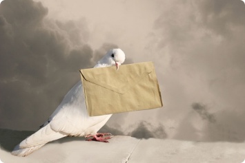 Сражения почтовых голубей