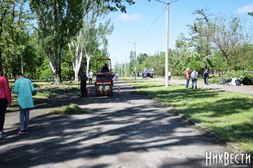 Порошенко может стать первым, кто высадит дерево на Аллее Героев в Николаеве