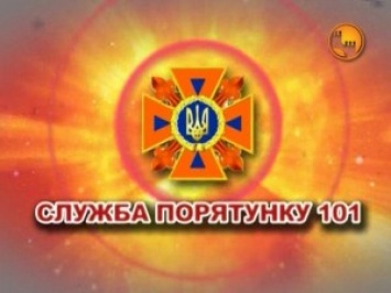 Искал грибы - нашел артснаряд: в Николаевской области земля продолжает «отдавать» взрывоопасные предметы прошлых войн