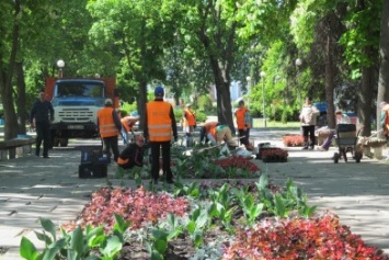 Этой весной в Кременчуге уже высажены 136 000 саженцев деревьев, кустов и цветов