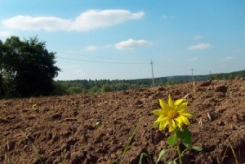 На Днепропетровщине для участников АТО отведут более 6300 гектаров земель