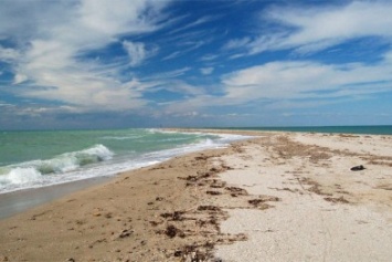 В Крыму грозят тюрьмой за кражу песка с пляжей