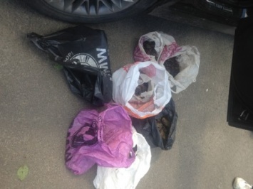 Житель Полтавской области перевозил в автомобиле 11 кг янтаря
