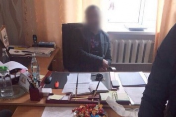 В Кировоградской области на взятке поймали мэра Гайворона. ФОТО