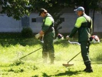 Газонами и цветами в Центральном районе Николаева займется фирма скандального бизнесмена Пелипаса