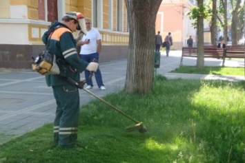 Власти Симферополя обнародовали график покоса травы в городе