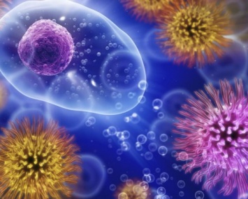Ученые узнали, как иммунные клетки активируют воспалительную реакцию