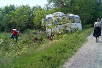 На трассе «Симферополь - Харьков» автобус с пассажирами врезался в дерево (ФОТО)