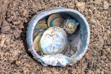 В Израиле найдены золотые монеты времен крестовых походов