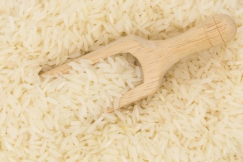 Биологи рассказали об опасности риса