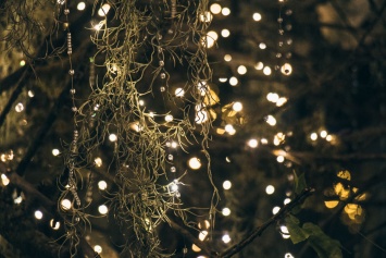 Киев украсили к новогодним праздникам: сверкающие деревья и разноцветные огни