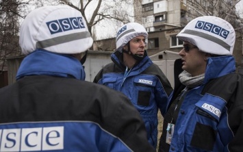 "Мы хотим войны?": В ОБСЕ выступили с неожиданным заявлением