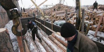 У Медведева спросили про вывоз леса в Китай