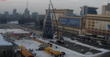 В Харькове закончили собирать главную елку города. Фото