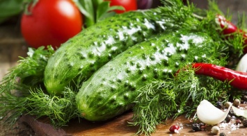 Какой овощ способен защитить от болезней почек