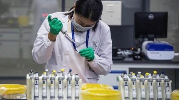 Ученые: Терапию рака можно проводить при помощи ДНК