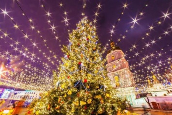 Главная елка Украины обойдется в 3 млн и будет похожа на картины Марии Примаченко