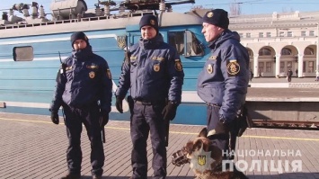 Собаки заступили на охрану блокпостов и стратегических объектов Одесской области