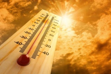 «Пожары, засуха и смерть»: 2019 год станет самым жарким в истории человечества - ученые