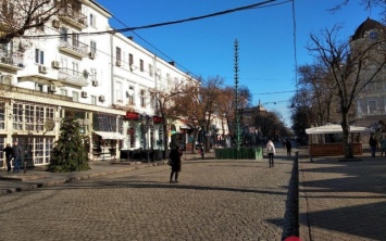 На Дерибасовской начали устанавливать новогоднюю елку (ФОТО)