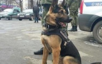 На Днепропетровщине полиция задержала "телефонного террориста"