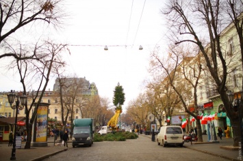 На Дерибасовской установили новогоднюю елку из нескольких сотен сосен