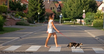 Почему вы обязаны выгуливать не только собак, но и кошку!